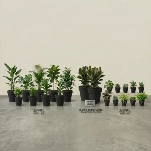 Paket Tanaman Rental dengan Pot Plastik