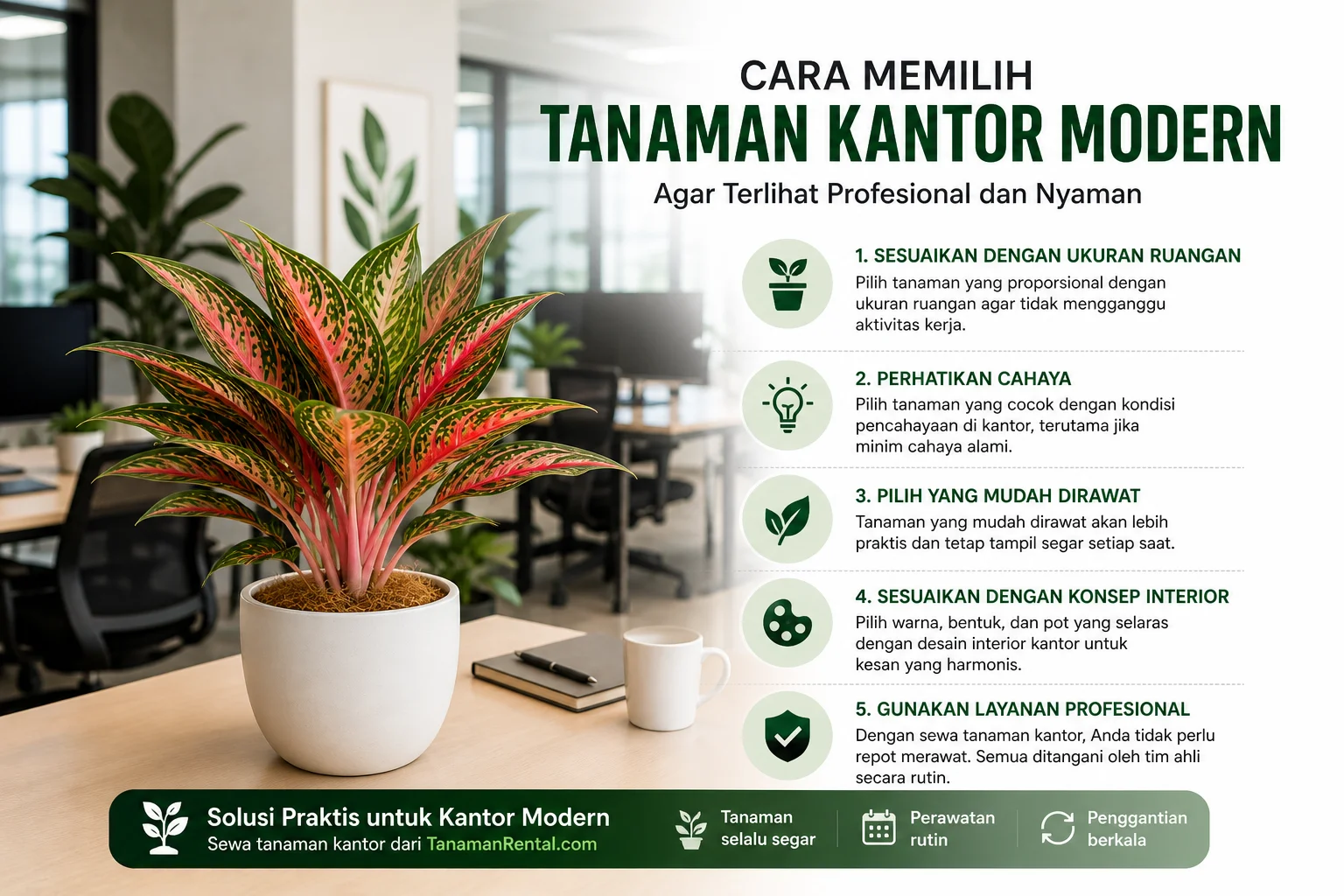 cara memilih tanaman kantor modern