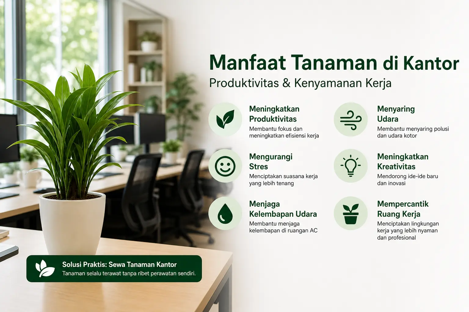 manfaat tanaman di kantor