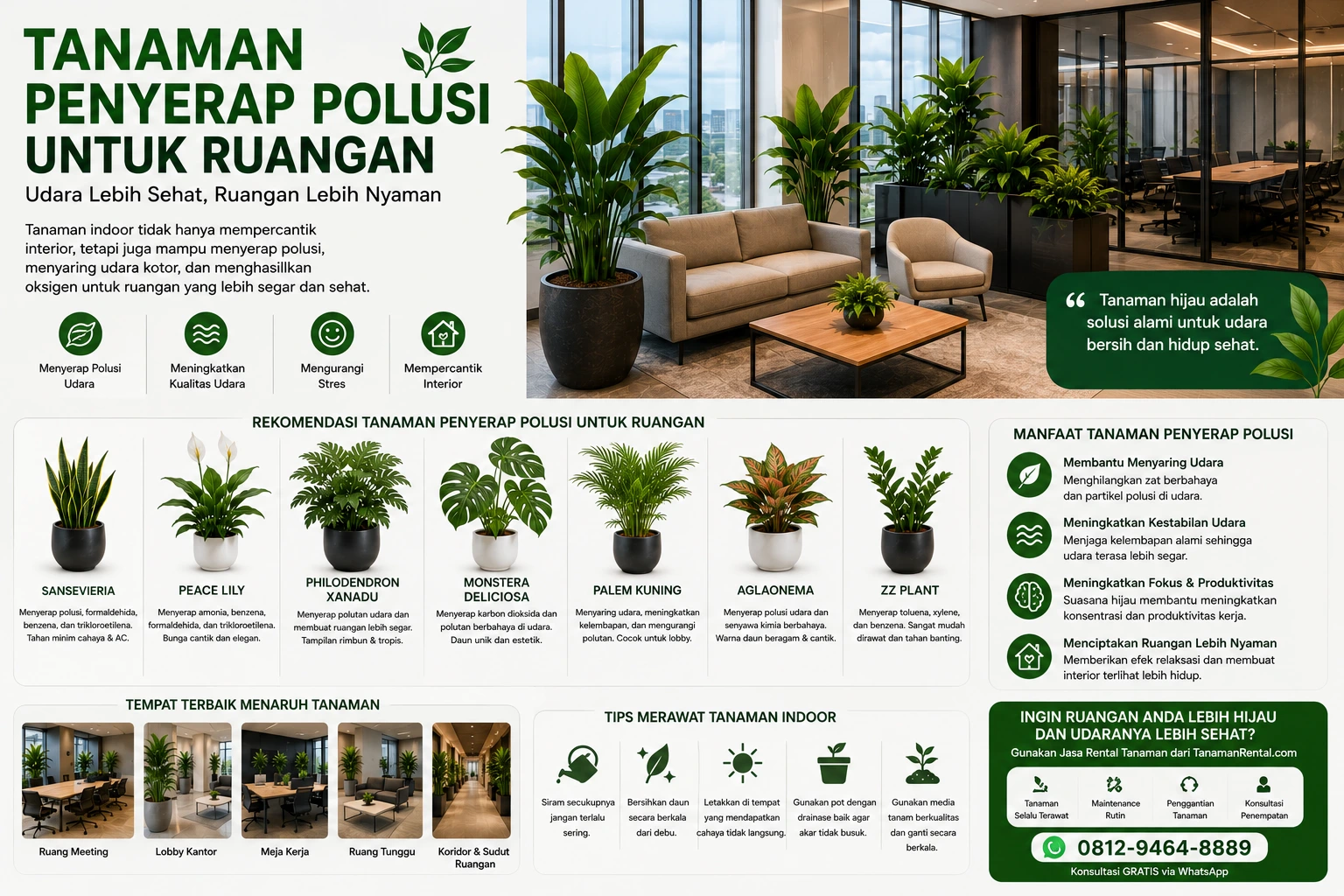 Tanaman penyerap polusi untuk ruangan kantor modern dengan interior hijau dan udara lebih segar.