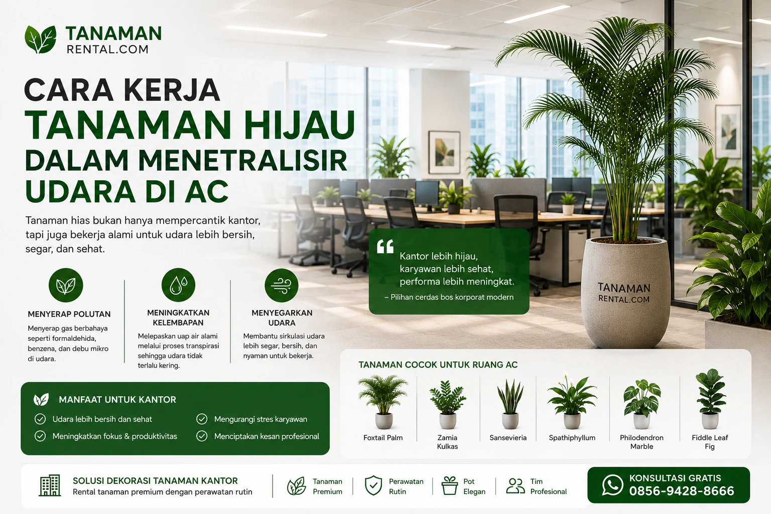 cara kerja tanaman hias dalam menetralisir udara