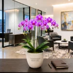 Jasa sewa Anggrek Dendrobium Jakarta dalam pot teraso eksklusif untuk dekorasi interior kantor modern