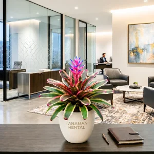 Sewa tanaman hias Bromelia Pink dalam pot teraso untuk dekorasi interior kantor modern dari tanamanrental.com