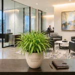 Spider Plant premium untuk dekorasi kantor modern dari TanamanRental.com