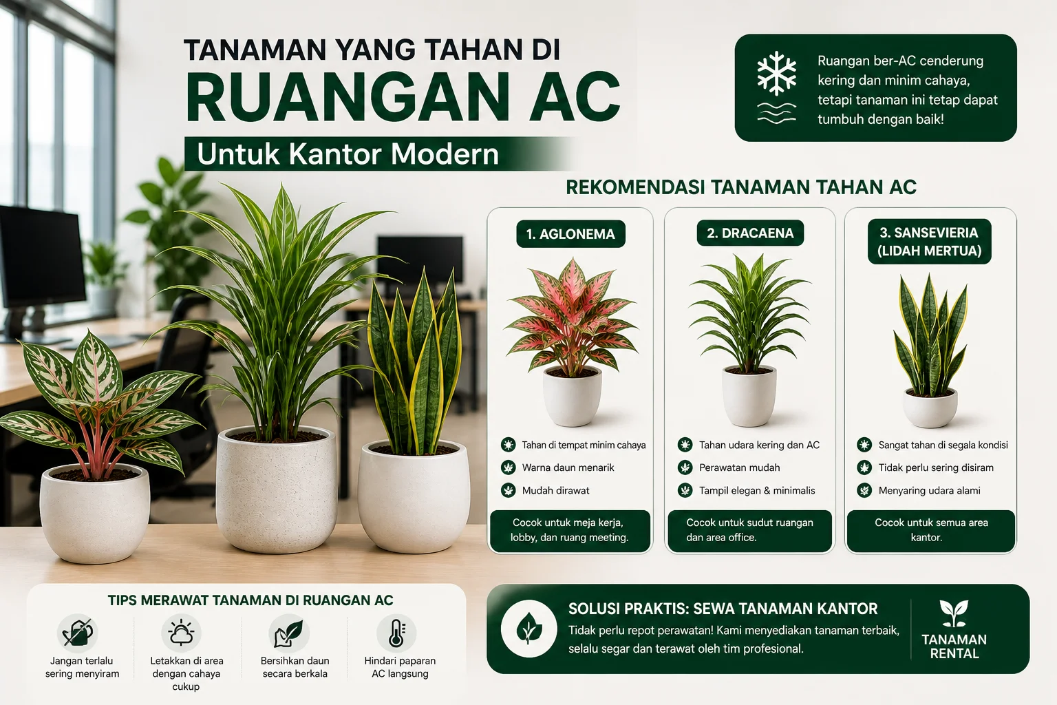 tanaman yang tahan ruangan ac